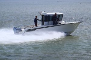 OCQUETEAU OSTREA 800