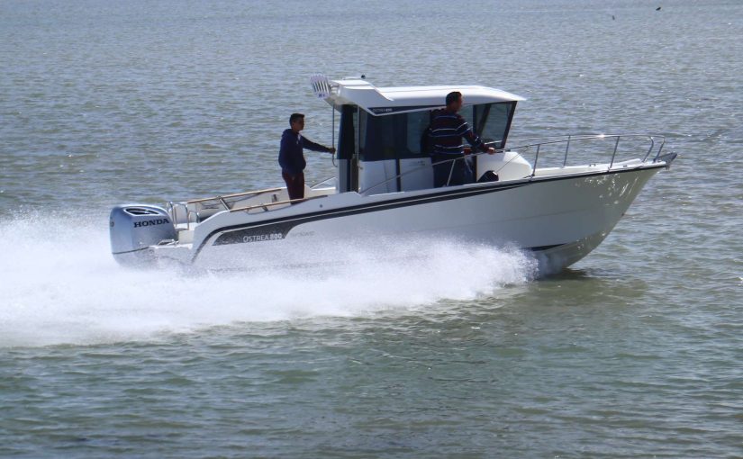 OCQUETEAU OSTREA 800