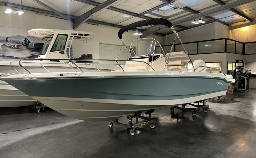 BOSTON WHALER 220 DAUNTLESS
