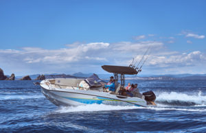 QUICKSILVER 805 Open