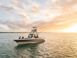 BOSTON WHALER 360 outrage