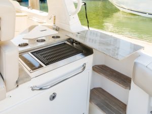 BOSTON WHALER 350 Realm