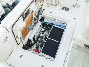 BOSTON WHALER 350 Realm