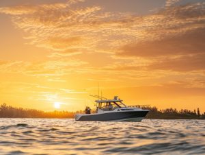 BOSTON WHALER 325 Conquest
