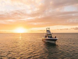 BOSTON WHALER 360 outrage