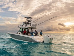 BOSTON WHALER 360 outrage