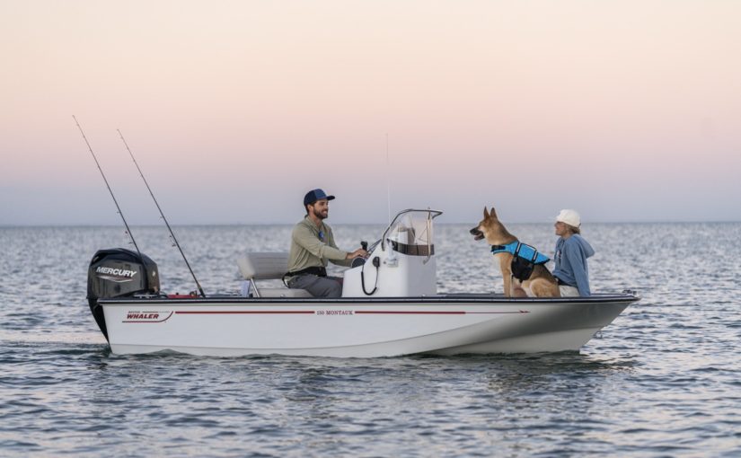 BOSTON WHALER 150 Montauk