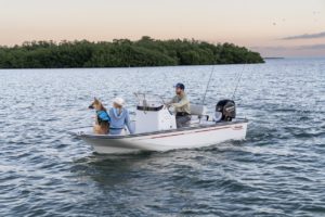 BOSTON WHALER 150 Montauk