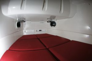 BRIG Eagle 10