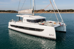BALI Catsmart