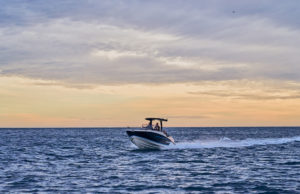 QUICKSILVER 805 Open