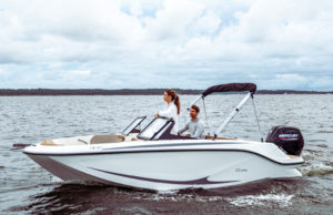 QUICKSILVER 252 Axess