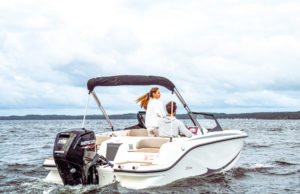 QUICKSILVER 252 Axess