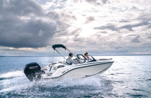 QUICKSILVER 252 Axess