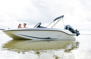 QUICKSILVER 252 Axess