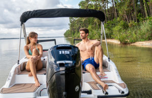 QUICKSILVER 252 Axess