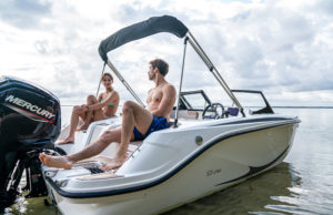QUICKSILVER 252 Axess