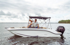 QUICKSILVER 252 Axess