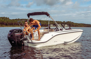 QUICKSILVER 252 Axess
