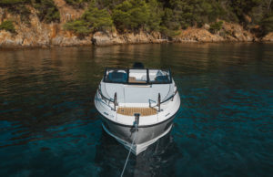 QUICKSILVER 755 Cruiser