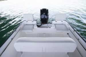 BOSTON WHALER 170 Montauk