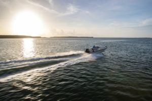 BOSTON WHALER 170 Montauk
