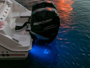 BOSTON WHALER 250 Outrage
