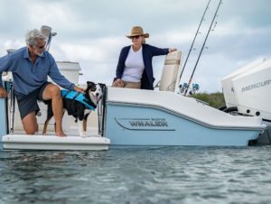 BOSTON WHALER 280 Dauntless