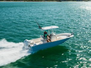 BOSTON WHALER 210 Montauk