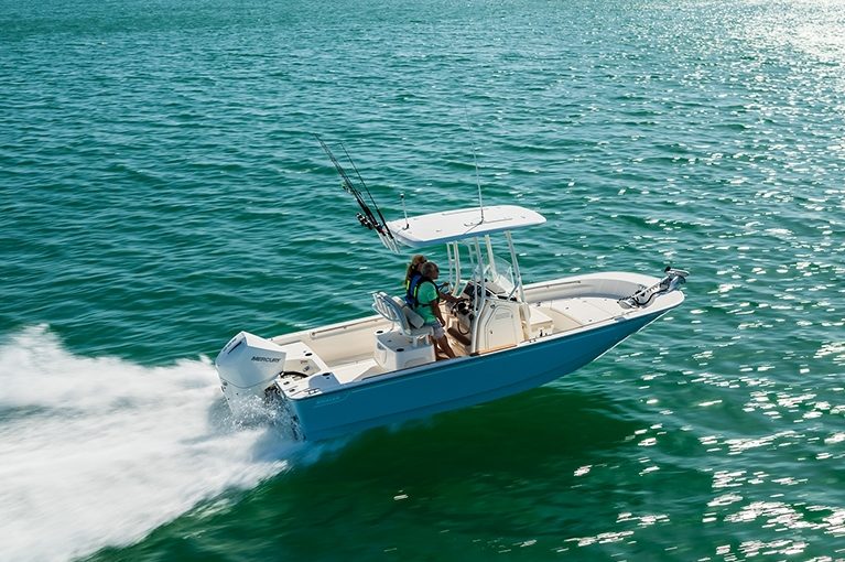 BOSTON WHALER 210 Montauk
