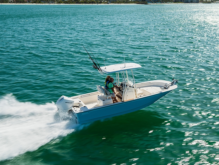 BOSTON WHALER 210 Montauk