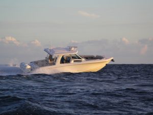 BOSTON WHALER 350 Realm