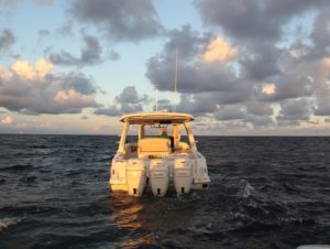 BOSTON WHALER 350 Realm