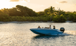 BAYLINER M17