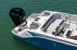 BAYLINER M17