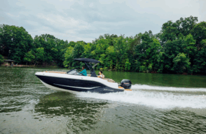 BAYLINER D20
