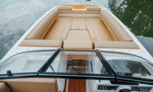 BAYLINER D20