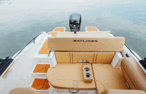 BAYLINER D20