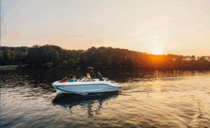 BAYLINER D20I