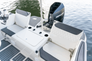 BAYLINER T22