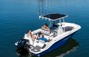 BAYLINER T22