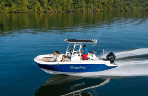 BAYLINER T22