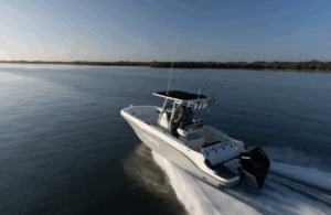 BAYLINER T24