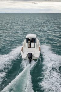 OCQUETEAU Ostrea 710 Timonier