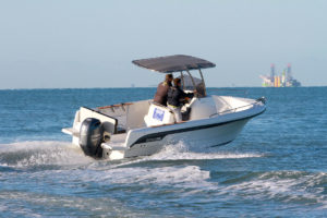 OCQUETEAU Ostrea 600 T Top