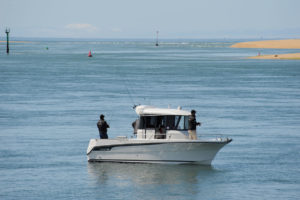 OCQUETEAU Ostrea 700 Timonier