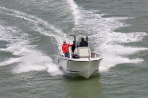 OCQUETEAU Ostrea 700 T Top