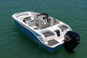 BAYLINER M17