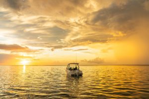 BOSTON WHALER 240 Vantage