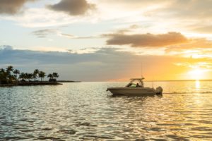 BOSTON WHALER 240 Vantage